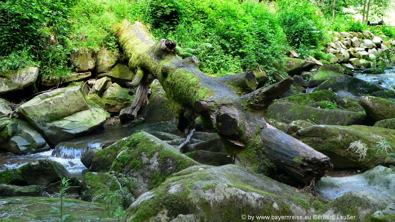 waldkirchen-saussbachklamm-naturschutzgebiet-bach-felsen-1300