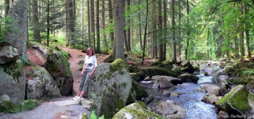 waldkirchen-saussbachklamm-naturschutzgebiet-naherholungsgebiet-freyung-panorama-660
