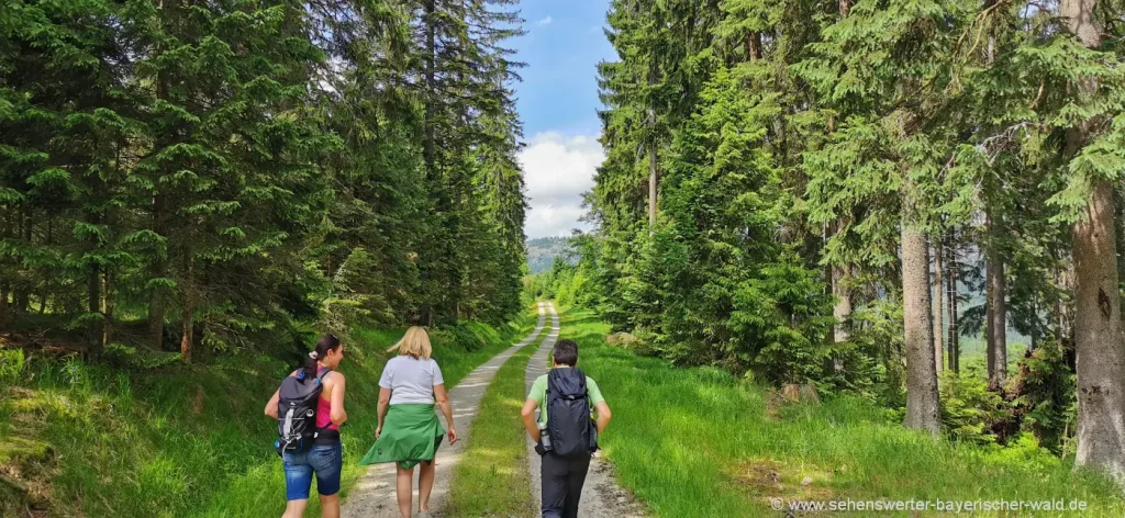 wandern in Bayern - nachhaltiger Tourismus im Bayerischen Wald