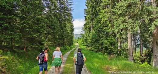 wandern-bayern-schoene-wanderwege-bayerischer-wald-wanderurlaub