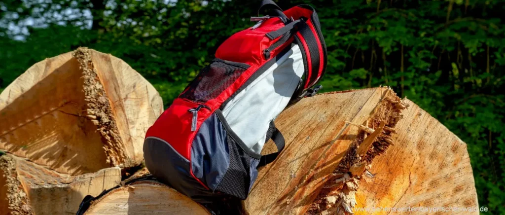 Reisetipps Koffer Packen Checkliste Urlaub in Bayern Packliste Rucksack