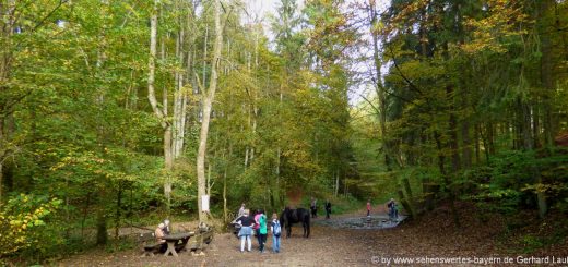 weissenohe-ausflugsziele-lillachtal-quelle-wanderregion-fränkische-schweiz