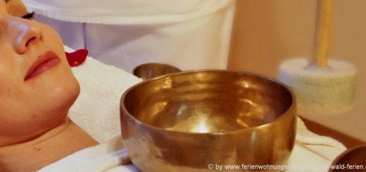 wellnessurlaub-bayern-wellnesshotels-bayerischer-wald-tageswellness-kosmetikangebote