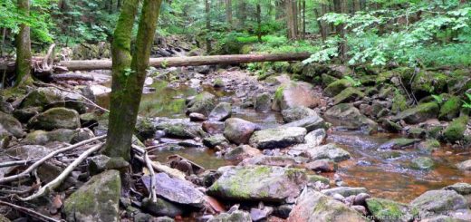 wildbachklamm-buchberger-leite-freyung-wandergebiet-bayerischer-wald-panorama