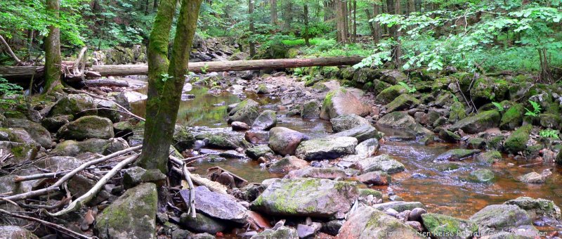 Bild der Wildbachklamm Buchberger Leite Freyung Bayerischer Wald