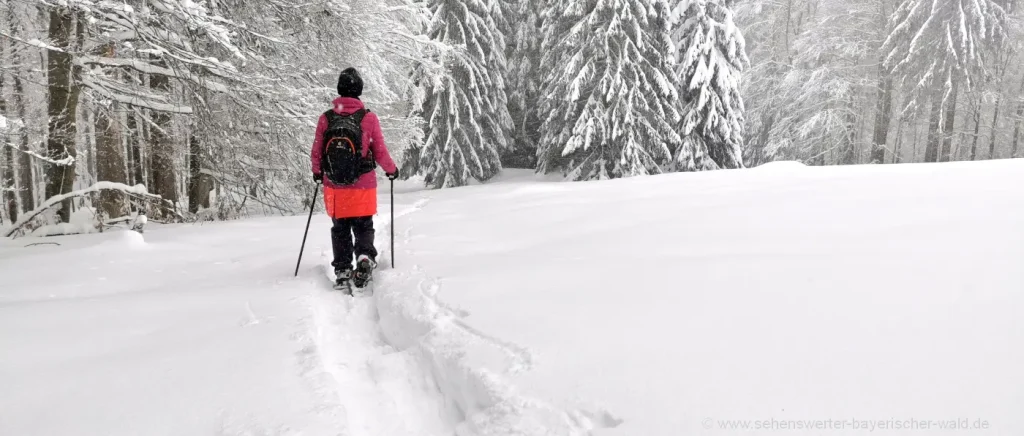  Winterwanderausrüstung wintertaugliche Wanderschuhe und Stöcke