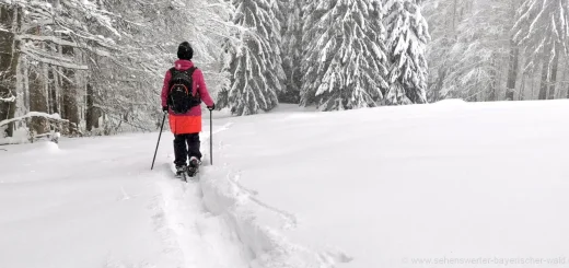 winterurlaub-deutschland-schneeschuhwandern-heizbare-weste